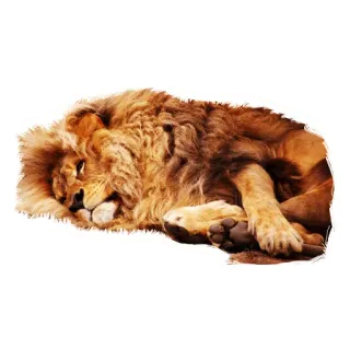 😔 лев, животное, дикая природа, большая кошка, спящий, отдых telegram sticker