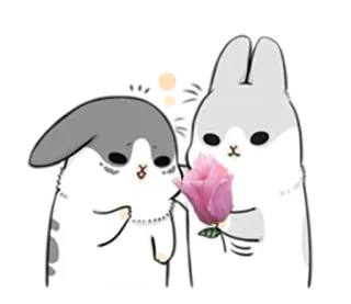 🌷 conejo, flor, lindo, animal, kawaii, amor, rosa telegram sticker