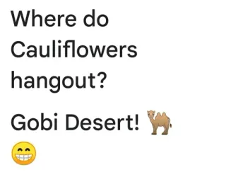 😎 Where do Cauliflowers hangout? Gobi Desert! pun, joke, cauliflower, camel, gobi desert, wordplay, humor telegram sticker