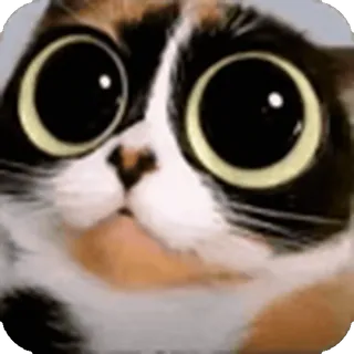 @emojis_prem < все эмодзи telegram emojis 🥺