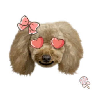 🐶 собака, сердечки, любовь, милый, животное, щенок telegram sticker