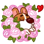 😘 dog, corgi, flowers, heart, cute, animal telegram sticker