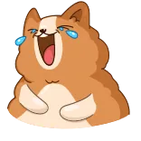 Hamster Bernard telegram stickers