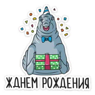 🎁 З ДНЕМ НАРОДЖЕННЯ walrus, birthday, party, gift, confetti telegram sticker