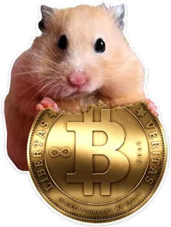 🐹 LIBERTAS, VERITAS, IN CRYPTOGRAPHY WE TRUST Hamster, Bitcoin, Cryptocurrency, Mata uang digital, Koin, Libertas, Veritas telegram sticker