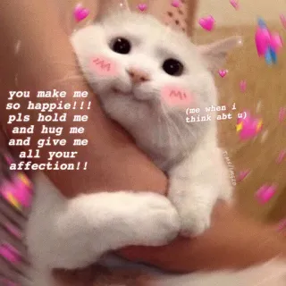❤️ you make me so happie!!! pls hold me and hug me and give me all your affection!! (me when i think abt u) chat, mignon, amour, affection, coeurs, mème telegram sticker