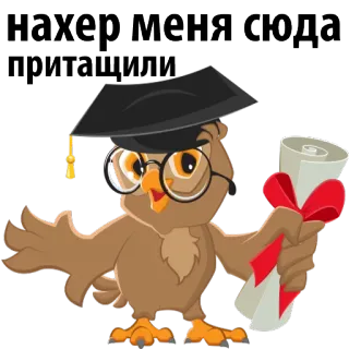 😒 нахер меня сюда притащили coruja, formatura, diploma, engraçado, texto, russo, educação, formado whatsapp sticker
