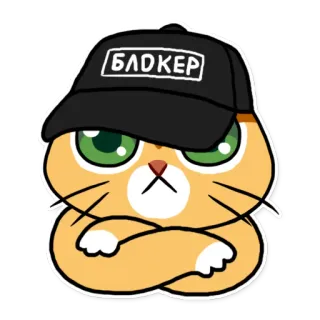 katifnah telegram stickers