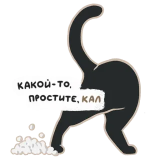 🤢 КАКОЙ-ТО,
ПРОСТИТЕ, КАЛ cat, rear, funny, russian, offensive whatsapp sticker