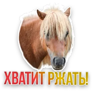 😝 ХВАТИТ РЖАТЬ! horse, pony, animal, equine, mammal telegram sticker
