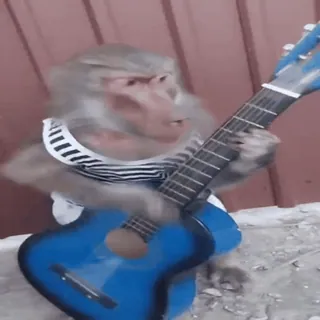 🎸 monkey, guitar, animal, music, cute, funny whatsapp sticker