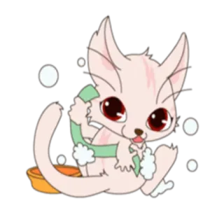 🛁 gatito, gato, lindo, animal, kawaii, mascota, lavando, burbujas whatsapp sticker