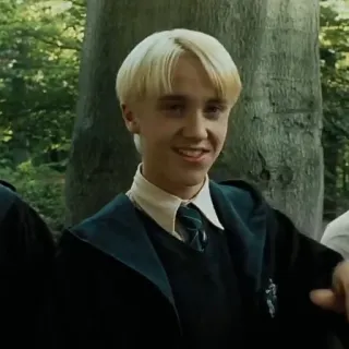 🐍 Draco Malfoy Harry Potter draco malfoy, harry potter, slytherin, mago, hogwarts, personaje, película whatsapp sticker