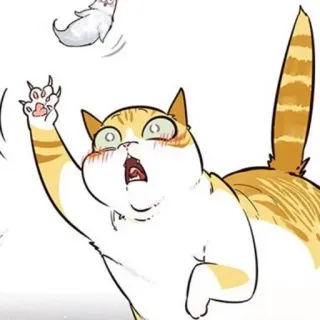 🐈 mèo, động vật, dễ thương, hoạt hình, biểu cảm, hài hước telegram sticker