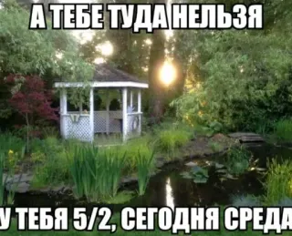 😂 А ТЕБЕ ТУДА НЕЛЬЗЯ
У ТЕБЯ 5/2, СЕГОДНЯ СРЕДА Meme, Drôle, Blague telegram sticker