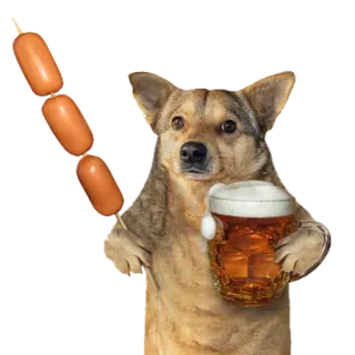 🍺 dog, beer, sausage, food, animal telegram sticker