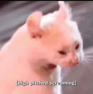 👹 [high pitched screaming] cat, screaming, meme, animal, funny telegram sticker