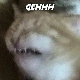 🐈 GEHHH chat, mème, drôle, animal, animal de compagnie, Gehhh whatsapp sticker