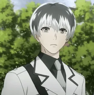 🥀 Haise Sasaki Tokyo Ghoul:re Anime, Karakter, Potret, Animasi, Haise Sasaki, Tokyo Ghoul telegram sticker