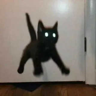 ✨ gato, gato preto, animal, animal de estimação, gatinho, fofo telegram sticker