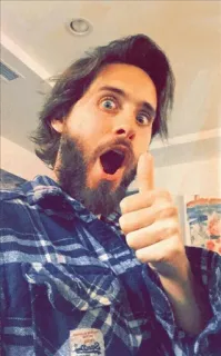 👍 mężczyzna, broda, selfie, osoba, wyraz twarzy telegram sticker