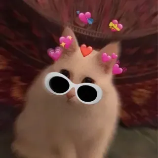 💞 cat, sunglasses, cute, emoji, love hearts, animal, sticker, meme telegram sticker