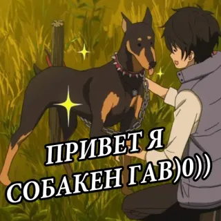 🖕 ПРИВЕТ Я СОБАКЕН ГАВ))0)) perro, anime, texto ruso, mascota, amigo, animal, saludo telegram sticker