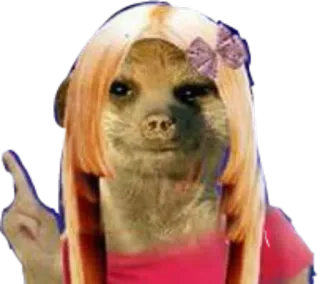 ☝ suricato, dedo do meio, humor, animal, gesto, ofensivo telegram sticker