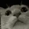 🤨