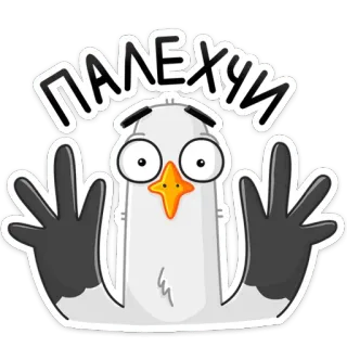 😹 ПАЛЕХИ pássaro, dedo do meio, ofensivo, desenho animado, gesto, texto russo telegram sticker