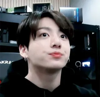 🍃 Jungkook K-pop, Zanger, Beroemdheid, BTS, Idool, Koreaans telegram sticker