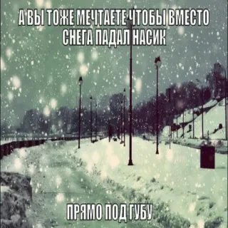 🥴 А вы тоже мечтаете чтобы вместо снега падал насик
Прямо под губу neve, inverno, sogno, scherzo, russo, strada telegram sticker