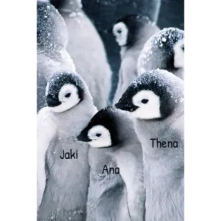 🐧 Jaki
Ana
Thema pingwiny, małe pingwiny, zwierzęta, antarktyda, natura, ptaki telegram sticker