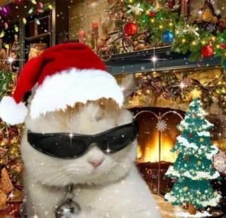 🤩 cat, christmas, santa hat, sunglasses, festive, holiday, fireplace, christmas tree telegram sticker