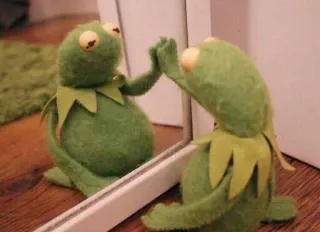 😑 Kermit Kermit la rana, espejo, reflejo, rana, títere, Muppets telegram sticker