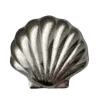 🐚