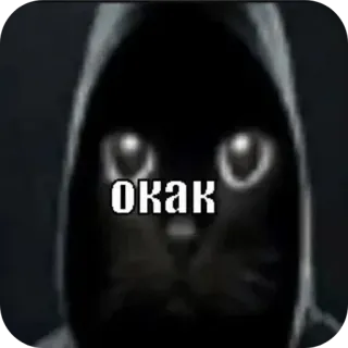 👍 окак gatto, meme, felpa con cappuccio, russo telegram sticker