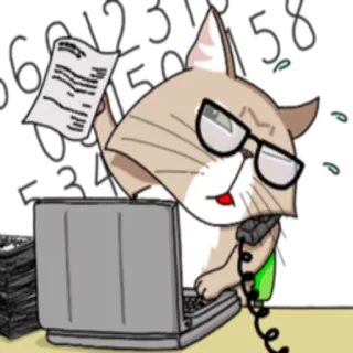 Сомалийский кот @StikerDi telegram stickers