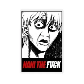 😂 NANI THE FVCK Anime, geschockt, Nani, Beleidigende Sprache, Schimpfwort, Meme telegram sticker