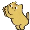 🐈