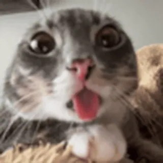 👀