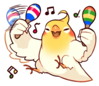 🎶 นกค็อกกาเทล, นก, มาราคัส, เพลง, มีความสุข, น่ารัก, ปาร์ตี้, การ์ตูน telegram sticker