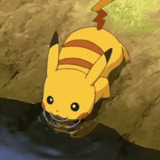 💦 Pikachu Pokemon ปิกาจู, โปเกมอน, ดื่ม, น้ำ, สัตว์ telegram sticker
