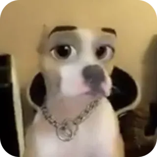 Больше стиков тут: @stikery4 whatsapp stickers