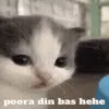 😣