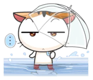 🙄 chat, parapluie, pluie, autocollant, mignon, dessin animé, illustration whatsapp sticker