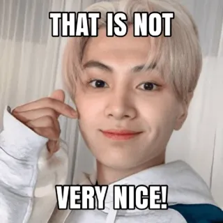 😍 THAT IS NOT VERY NICE! meme, funny, kpop, reaction, humor telegram sticker