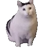 πΎ