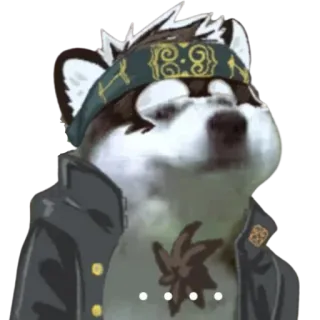 😐 ... Hund, Husky, Tier, Warten, Laden whatsapp sticker