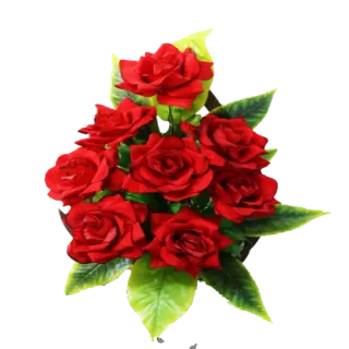 🌺 Rosen, Blumen, rote Rosen, Strauß, Blumenarrangement, Natur, Romantik telegram sticker